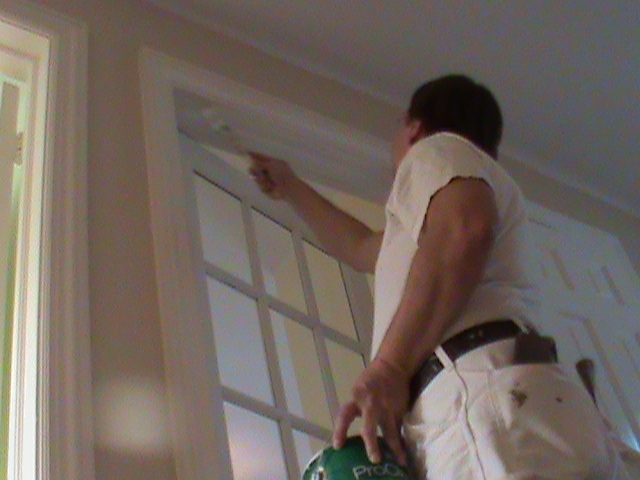 Professional Painter Working
